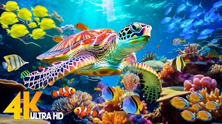 Under Red Sea 4K - Beautiful Coral Reef Fish in Aquarium, Sea Animals for Relaxation - 4K Video #54