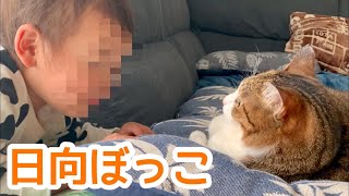 猫と2歳児の日向ぼっこ!! 春って気持ちいいねっ!!【猫と子ども】vol.186