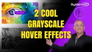 Divi Theme Background Image Grayscale Hover Effects