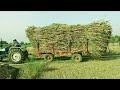 swaraj 733 tractor video fully loaded sugarcane 85 quintal