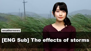 [Typhoon No. 8]The effects of storms