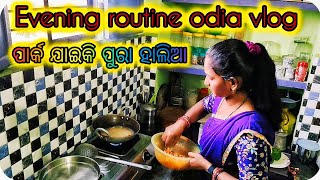 ସନ୍ଧ୍ୟା ରେ ଆମେ କଣ କଲୁ , ପିଲାମାନଙ୍କ ଶହ ଖେଳିକି ପିଲାବେଳକଥାମନେପଡ଼ିଗଲା@puspalatadasputul