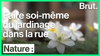 C'est quoi le permis de végétaliser ?