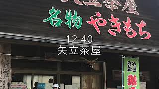 超初心者！家族で行く初めての高野山町石道