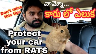 How to protect your car from RATS||ఎలుకల నుండి మీ కార్ ను ఇలా కాపాడుకోండి||telugu car review