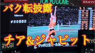 【ジャイアンツ】闘魂こめて🔥ジャビット\u0026チアのバク転すごい😍