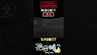 妹(初心者)で遊ぶ姉 #shorts #lethalcompany #lethalcompanygame #lethalcompanyshorts #vtuber #ホラー #ホラーゲーム #花蕾姉妹