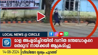 മാള അഷ്ടമിച്ചിറയിൽ വനിത ദന്തഡോക്ടറെ തെരുവ് നായ്ക്കൾ ആക്രമിച്ചു