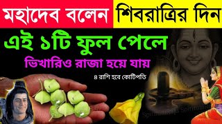 মহা শিবরাত্রির দিন এই ১টি ফুল বাড়িতে আনুন | আপনার ১৪ পুরুষ বসে খাবে #mahashivratri_2025