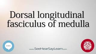 Dorsal longitudinal fasciculus of medulla   Anatomy of the Brain   SeeHearSayLearn 🔊