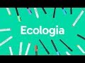 ECOLOGIA: CADEIA ALIMENTAR, BIOMAS E RELAÇÕES ECOLÓGICAS | QUER QUE DESENHE?