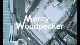 Mercy Woodpecker「新世界」MV