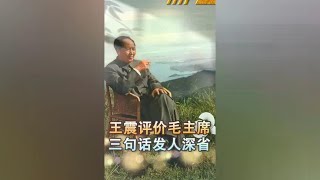 副主席王震晚年评价毛主席，说过三句话，至今仍发人深省