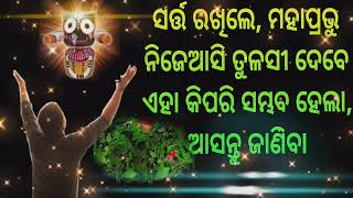 ସର୍ତ୍ତ ରଖିଲେ, ମହାପ୍ରଭୁ ନିଜେ ଆସି ତୁଳସୀ ଦେବେ ॥ ଏହା କିପରି ସମ୍ଭବ ହେଲା ??🙏🏻🙏🏻