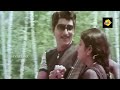 అది ఒక రాత్రి video song jagan movie video songs shoban babu jayasudha tvnxt telugu music