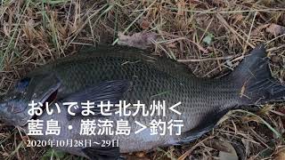 生まれ育った北九州でチヌ釣りのはずが…