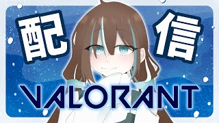 【VALORANT】魅惑の元気元気ヴァロ！ w/はりぐみ【縦型配信】#shorts #valorant