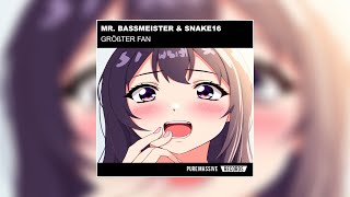 GRÖSSTER FAN - Mr. Bassmeister \u0026 Snake16 [Pure Massive Records]