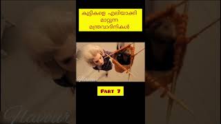 കുട്ടികളെ മാത്രം വേട്ടയാടുന്ന witches, part 7 #mychannel #ghosts