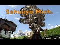 Sahuayo Mich. 2004 Videos de México