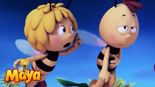 Willy Is Acting Strange - Maya the bee🍯🐝🍯