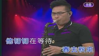 純純的愛    屏東張菲    薩克斯風演奏