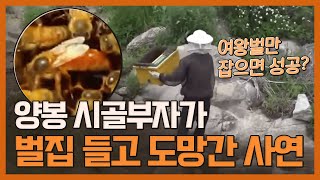 한 달에 3억씩 양봉으로 대박난 비밀 특별공개! #2 │ 로컬라이프 시골부자