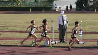 かいとかんたるい56年男子800m 第25回板橋少年少女20211103