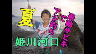 2003年07月28日　姫川河口アジサビキ釣り