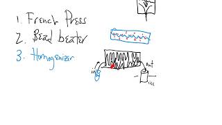 BC1 F17 ch3 pt3 proteins \u0026 amino acids