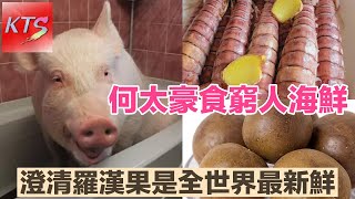 何太豪食窮人海鮮 青口瀨尿蝦大閘蟹做午餐 何馬澄清羅漢果是全世界最新