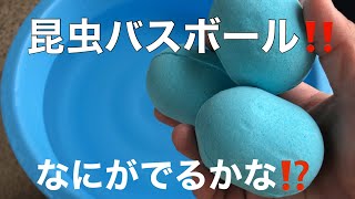 お風呂で学べる学研の図鑑Live Bath ball ✖︎ 3 なにがでるかな？