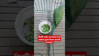 তিনটি জিনিস আপনার মাঝে থাকলে বুঝে নিবেন আপনি ভাগ্যবান #shorts #islam #quran #quran #allah