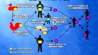 企業のための新型インフルエンザ対策セミナー「企業に必要な新型インフルエンザ対策」 - 臨床医学チャンネルCareNeTV