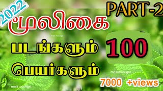 100 வகையான மூலிகை செடிகள்|Herbal plants name list|malli mooligai