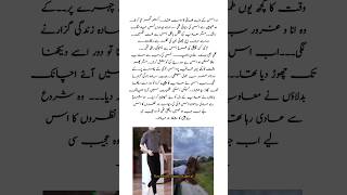 Dhadakte dil by Husny Kanwal romantic Urdu novel #lovestory #viral #trending