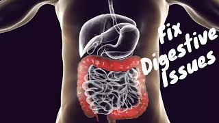 Fix Digestive Issues - How To Fix Ibs, Gas, Bloating, Digestive Issues & Acid Reflux | Case Study