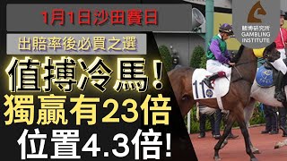 【賽馬貼士】1月1日 值搏冷馬！｜獨贏有23倍 位置都有4.3倍！值得一搏！