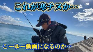 【フカセ釣り】これが寒チヌシーズンの釣りです。寒チヌ動画なんです！