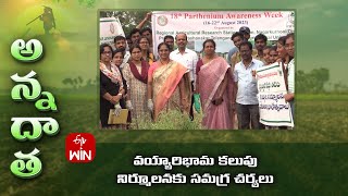 వయ్యారిభామ కలుపు నిర్మూలనకు సమగ్ర చర్యలు | Integrated weed management of Parthenium | ETV