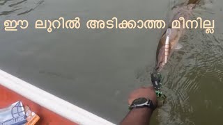 ഈ ലൂറിൽ അടിക്കാത്ത മീനില്ല