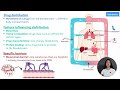 introduction to pharmacokinetics adme overview pharmacology