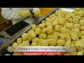 1000kg h potato wedges production line frozen french fries line with iqf and packing system