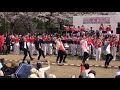 2019 桜まつり あけぼの山公園 市立柏高等学校吹奏楽部 「j popメドレー・他」