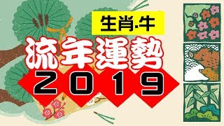 2019生肖牛流年｜己亥年｜金玲老师（有字幕）