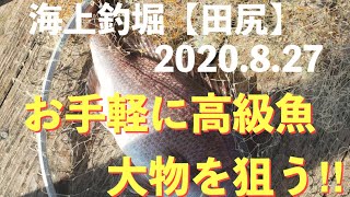 #17【海上釣堀】海釣りポート田尻で大物狙い