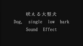 【サウンドエフェクト素材】吠える中型犬　Dog, single low bark Sound Effect