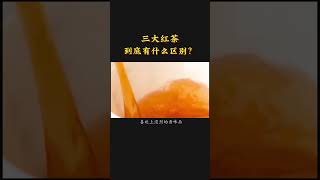 三大红茶到底有什么区别？#寻常道古树普洱茶