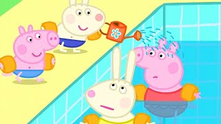 小猪佩奇 | 精选合集 | 1小时 | 和猪爸爸去游泳 | 粉红猪小妹|Peppa Pig | 动画