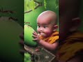 ll funny moments of cute Monk 🍼🍼#cute #shortvideo #cute monk #cutebaby 🍼🍼🍼🍼#whatsappstatus #ytshorts